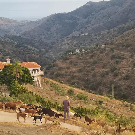 Casa La Jolla 3*